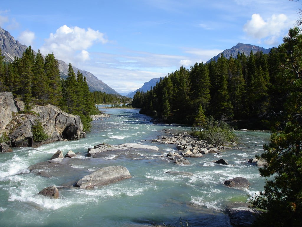 12 El río hacia Lake Bennett