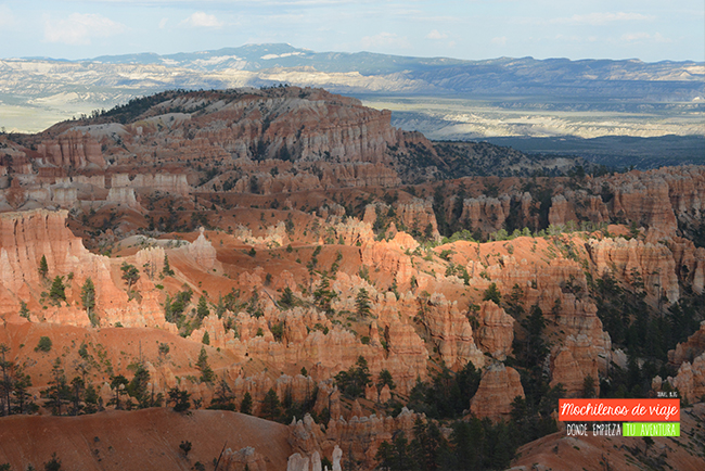 bryce