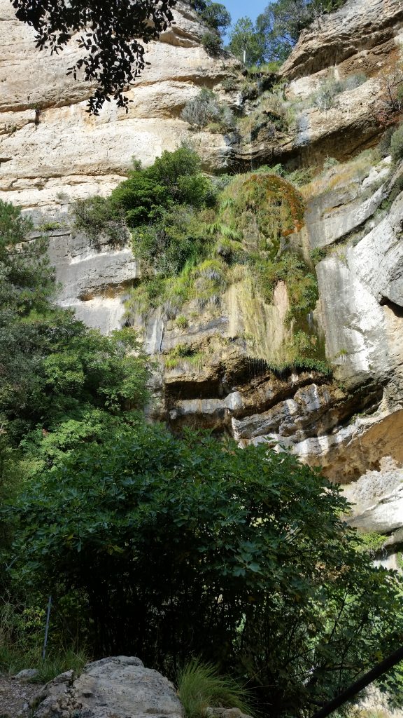 La Tinença de Benifassà