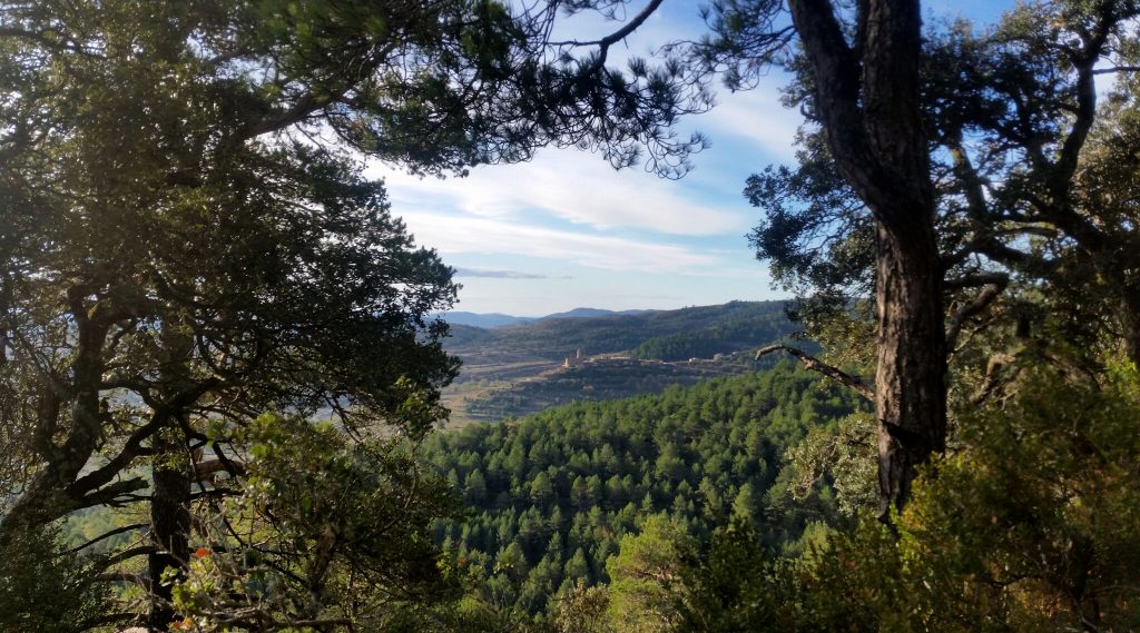 Tinença de Benifassa